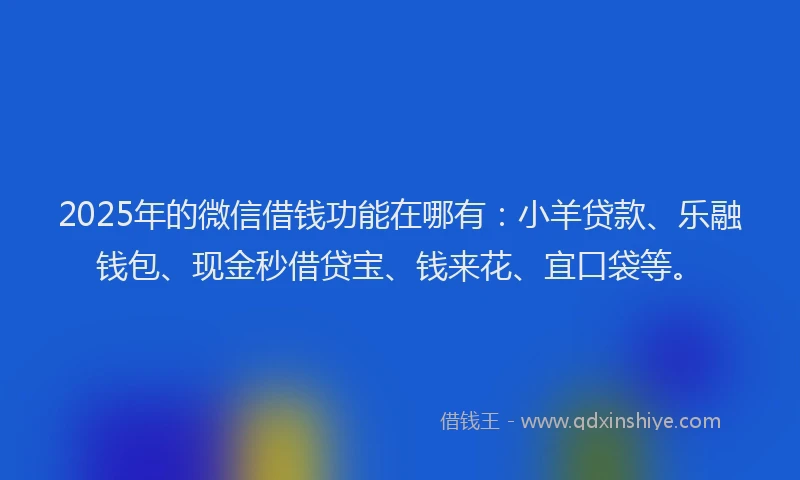 2025年的微信借钱功能在哪有：小羊贷款、乐融钱包、现金秒借贷宝、钱来花、宜口袋等。