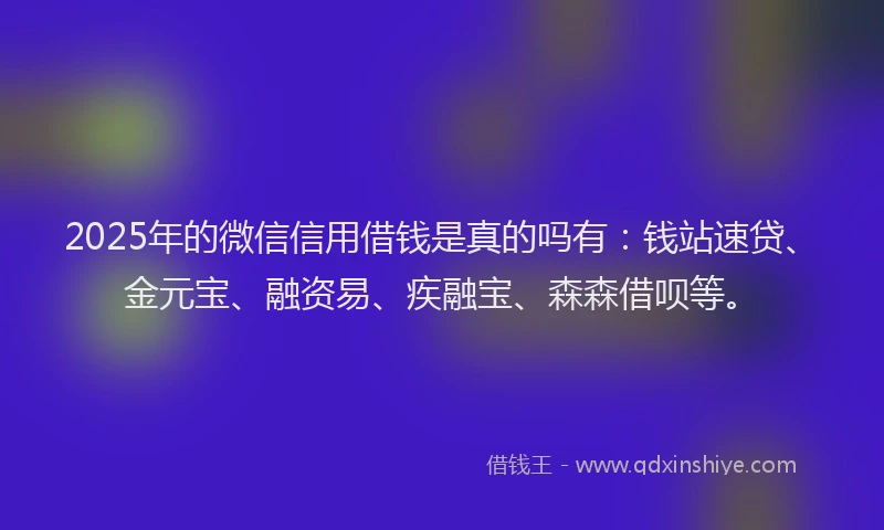 2025年的微信信用借钱是真的吗有：钱站速贷、金元宝、融资易、疾融宝、森森借呗等。