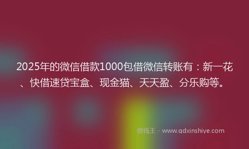 2025年的微信借款1000包借微信转账有：新一花、快借速贷宝盒、现金猫、天天盈、分乐购等。
