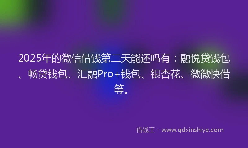 2025年的微信借钱第二天能还吗有：融悦贷钱包、畅贷钱包、汇融Pro+钱包、银杏花、微微快借等。