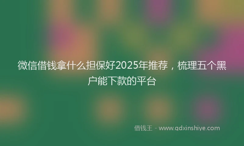 微信借钱拿什么担保好2025年推荐，梳理五个黑户能下款的平台