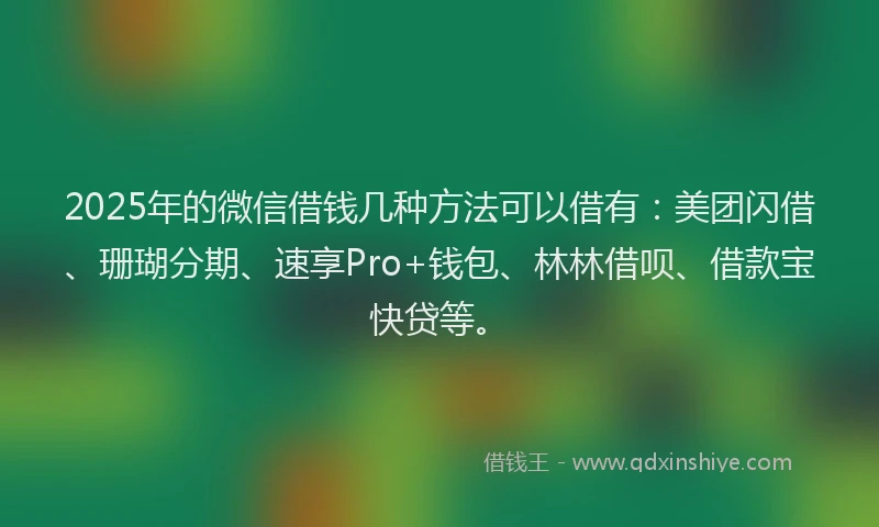 2025年的微信借钱几种方法可以借有：美团闪借、珊瑚分期、速享Pro+钱包、林林借呗、借款宝快贷等。