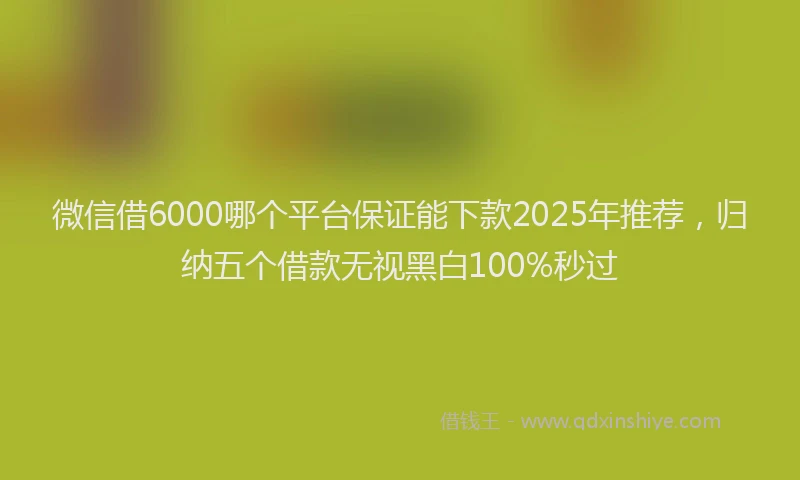 微信借6000哪个平台保证能下款2025年推荐，归纳五个借款无视黑白100%秒过