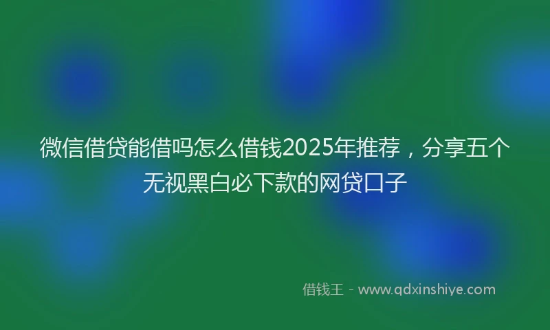 微信借贷能借吗怎么借钱2025年推荐，分享五个无视黑白必下款的网贷口子
