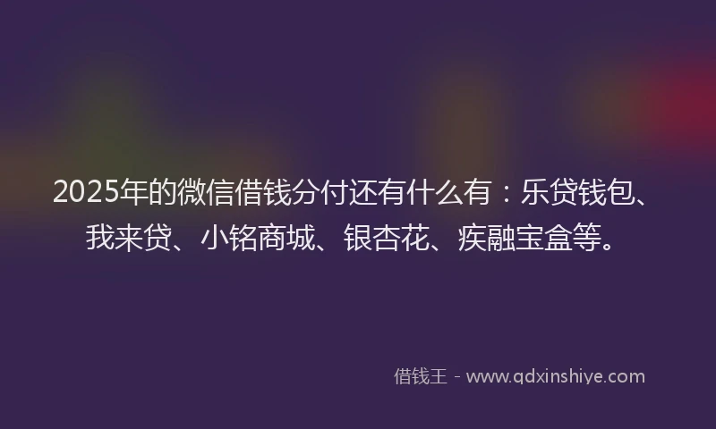 2025年的微信借钱分付还有什么有：乐贷钱包、我来贷、小铭商城、银杏花、疾融宝盒等。