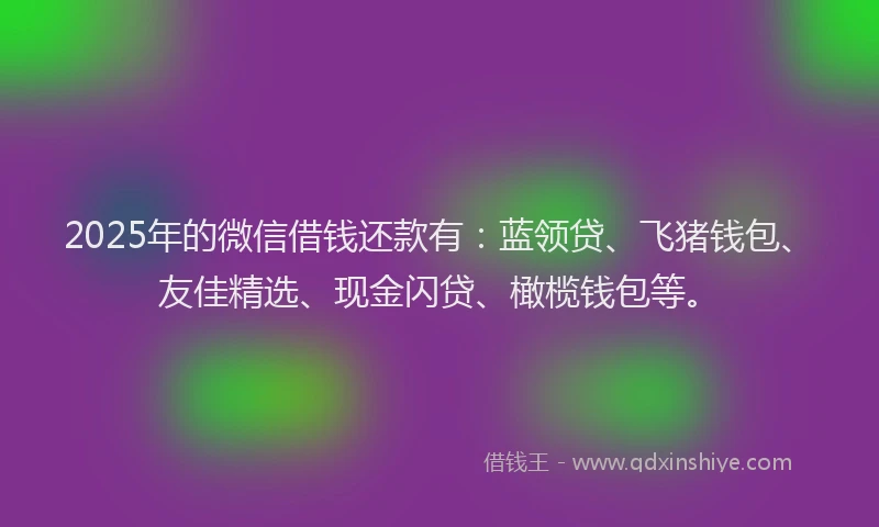 2025年的微信借钱还款有：蓝领贷、飞猪钱包、友佳精选、现金闪贷、橄榄钱包等。
