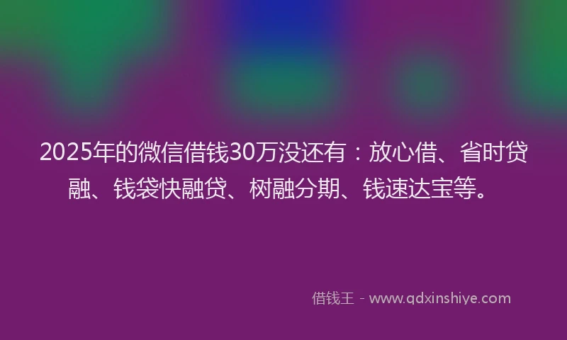 2025年的微信借钱30万没还有：放心借、省时贷融、钱袋快融贷、树融分期、钱速达宝等。