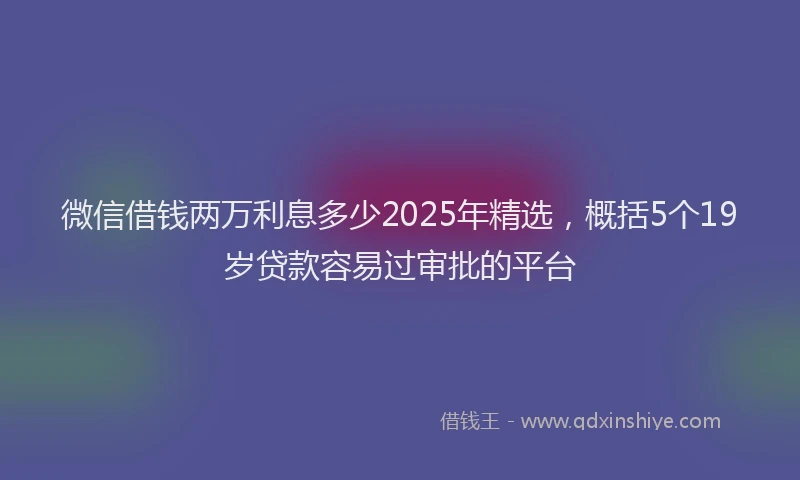 微信借钱两万利息多少2025年精选，概括5个19岁贷款容易过审批的平台