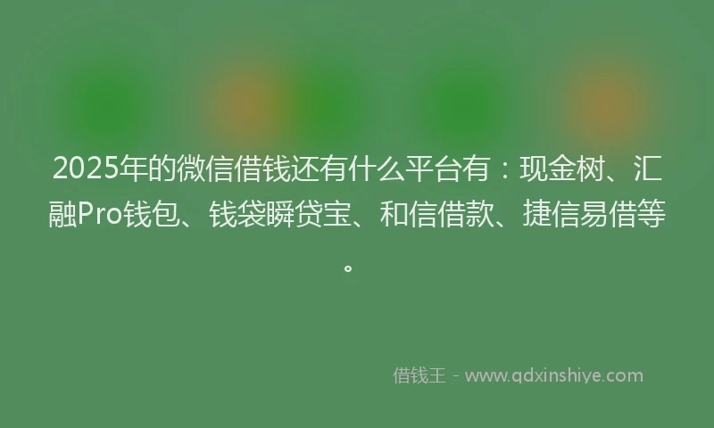 2025年的微信借钱还有什么平台有：现金树、汇融Pro钱包、钱袋瞬贷宝、和信借款、捷信易借等。
