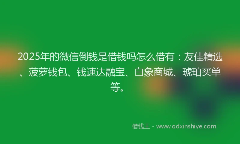 2025年的微信倒钱是借钱吗怎么借有：友佳精选、菠萝钱包、钱速达融宝、白象商城、琥珀买单等。