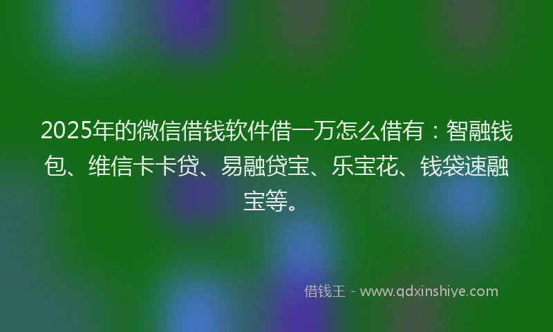 2025年的微信借钱软件借一万怎么借有：智融钱包、维信卡卡贷、易融贷宝、乐宝花、钱袋速融宝等。