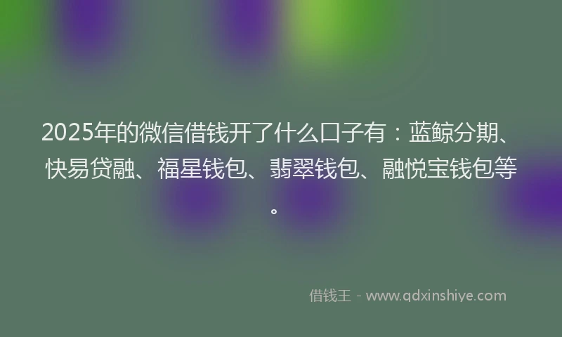 2025年的微信借钱开了什么口子有：蓝鲸分期、快易贷融、福星钱包、翡翠钱包、融悦宝钱包等。