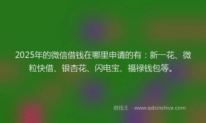 2025年的微信借钱在哪里申请的有：新一花、微粒快借、银杏花、闪电宝、福禄钱包等。