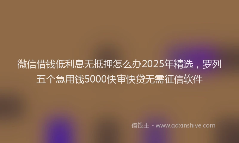 微信借钱低利息无抵押怎么办2025年精选，罗列五个急用钱5000快审快贷无需征信软件