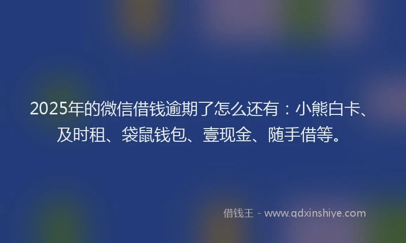 2025年的微信借钱逾期了怎么还有：小熊白卡、及时租、袋鼠钱包、壹现金、随手借等。