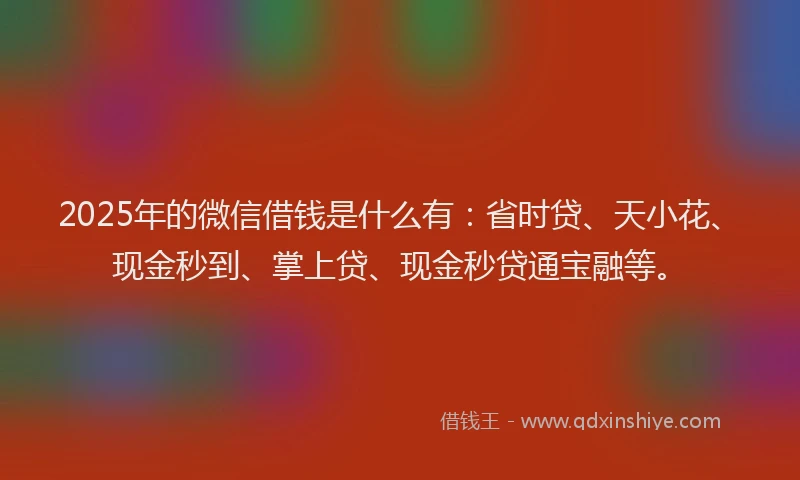 2025年的微信借钱是什么有：省时贷、天小花、现金秒到、掌上贷、现金秒贷通宝融等。