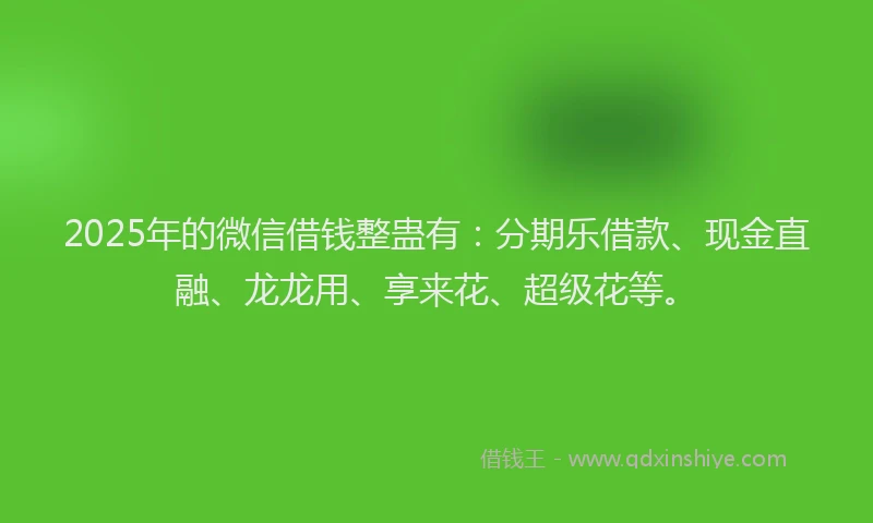 2025年的微信借钱整蛊有：分期乐借款、现金直融、龙龙用、享来花、超级花等。