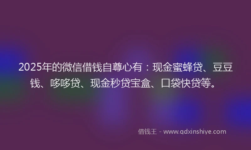 2025年的微信借钱自尊心有：现金蜜蜂贷、豆豆钱、哆哆贷、现金秒贷宝盒、口袋快贷等。