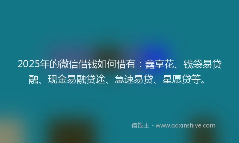 2025年的微信借钱如何借有：鑫享花、钱袋易贷融、现金易融贷途、急速易贷、星愿贷等。