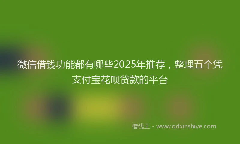 微信借钱功能都有哪些2025年推荐，整理五个凭支付宝花呗贷款的平台
