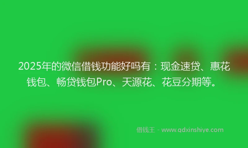 2025年的微信借钱功能好吗有：现金速贷、惠花钱包、畅贷钱包Pro、天源花、花豆分期等。