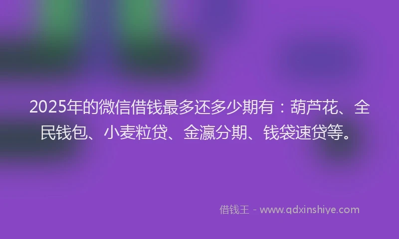2025年的微信借钱最多还多少期有：葫芦花、全民钱包、小麦粒贷、金瀛分期、钱袋速贷等。