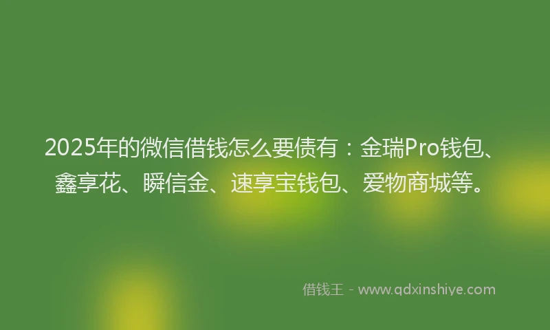 2025年的微信借钱怎么要债有：金瑞Pro钱包、鑫享花、瞬信金、速享宝钱包、爱物商城等。