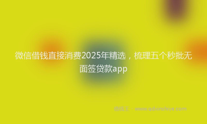 微信借钱直接消费2025年精选，梳理五个秒批无面签贷款app