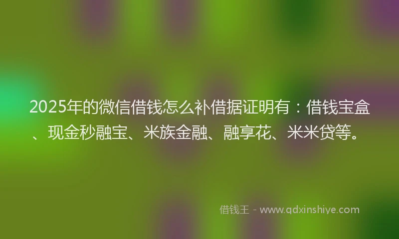 2025年的微信借钱怎么补借据证明有：借钱宝盒、现金秒融宝、米族金融、融享花、米米贷等。