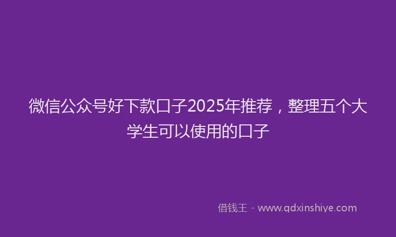 微信公众号好下款口子2025年推荐，整理五个大学生可以使用的口子