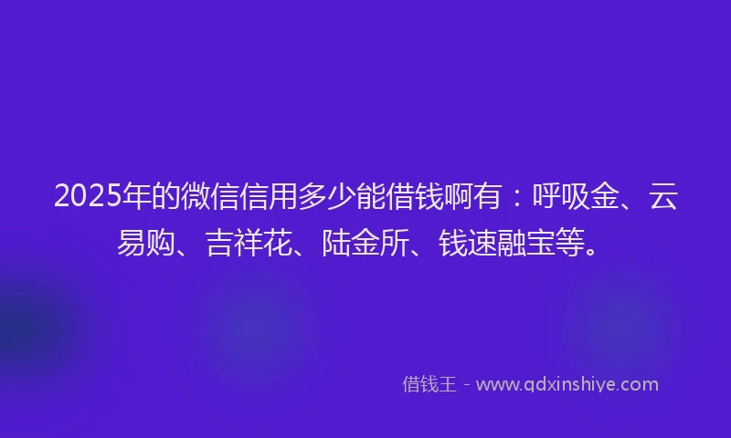 2025年的微信信用多少能借钱啊有：呼吸金、云易购、吉祥花、陆金所、钱速融宝等。