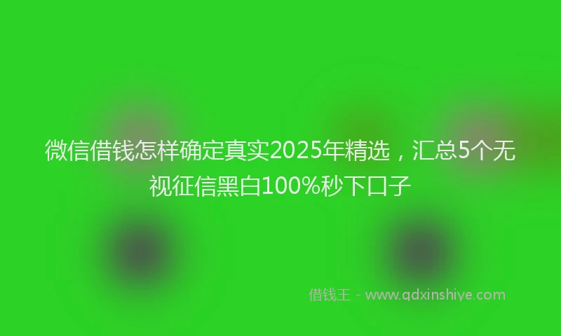 微信借钱怎样确定真实2025年精选，汇总5个无视征信黑白100%秒下口子
