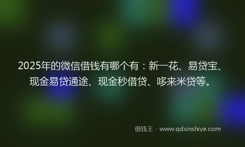 2025年的微信借钱有哪个有：新一花、易贷宝、现金易贷通途、现金秒借贷、哆来米贷等。