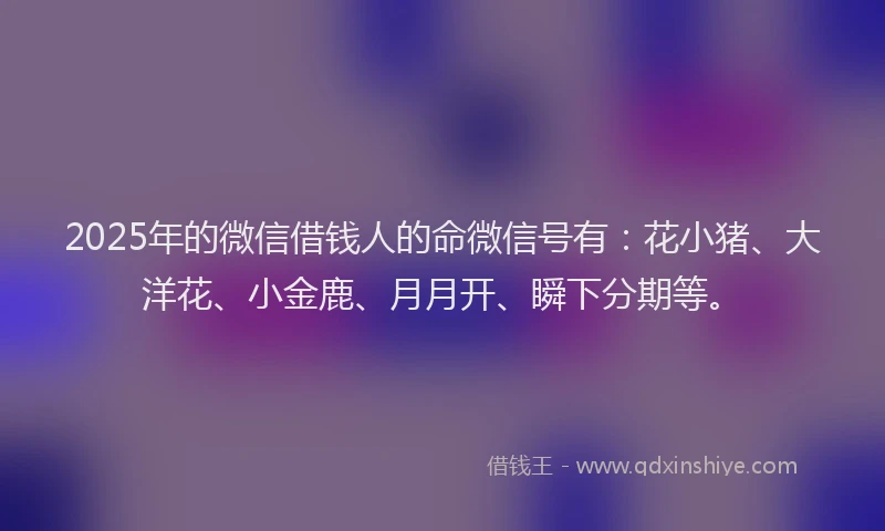 2025年的微信借钱人的命微信号有：花小猪、大洋花、小金鹿、月月开、瞬下分期等。