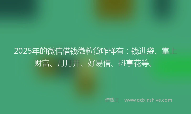 2025年的微信借钱微粒贷咋样有：钱进袋、掌上财富、月月开、好易借、抖享花等。