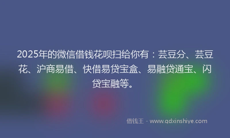 2025年的微信借钱花呗扫给你有：芸豆分、芸豆花、沪商易借、快借易贷宝盒、易融贷通宝、闪贷宝融等。