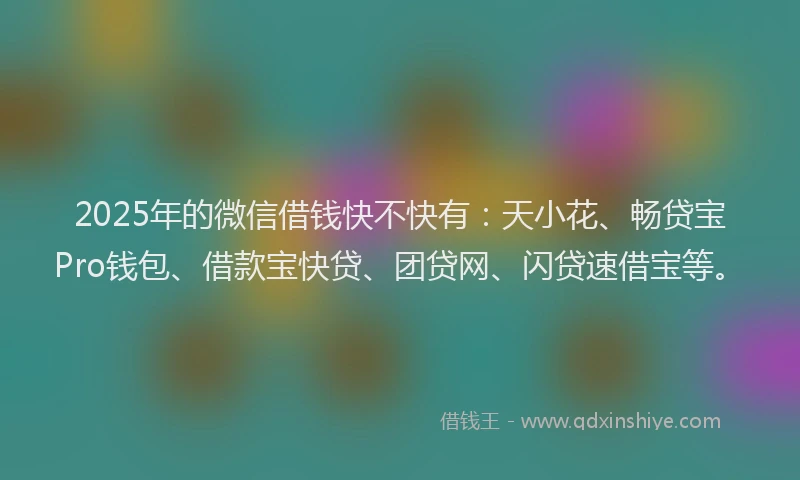 2025年的微信借钱快不快有：天小花、畅贷宝Pro钱包、借款宝快贷、团贷网、闪贷速借宝等。