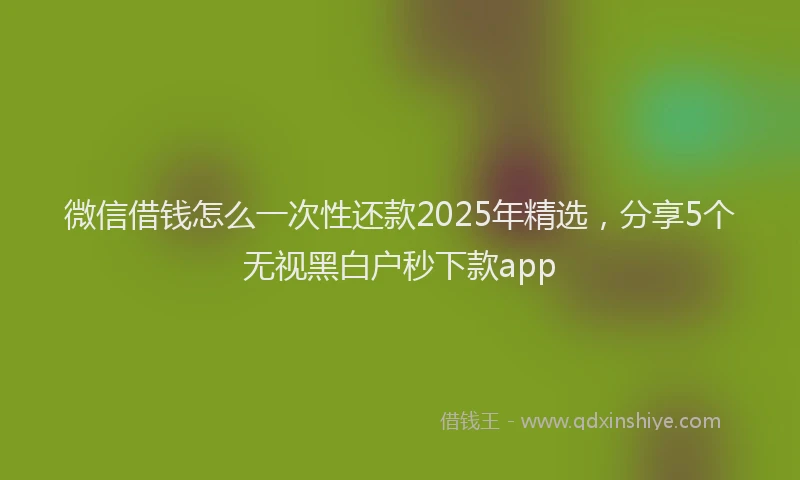 微信借钱怎么一次性还款2025年精选，分享5个无视黑白户秒下款app