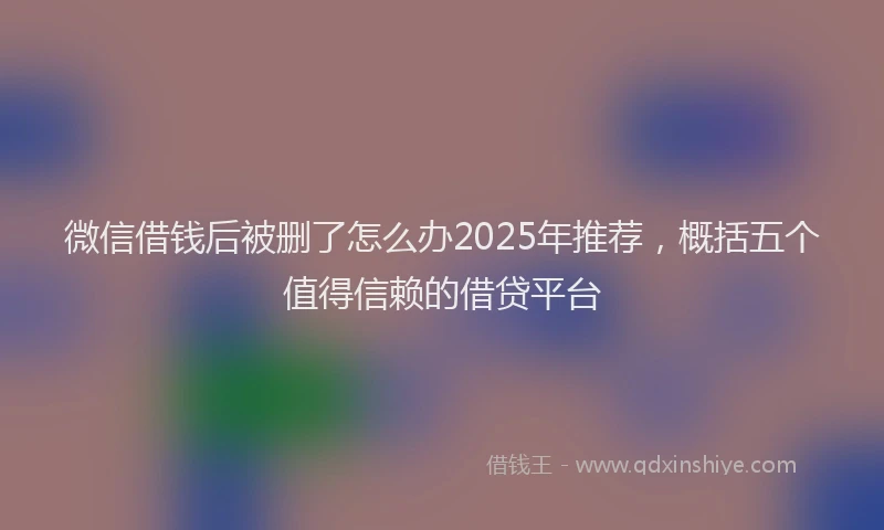 微信借钱后被删了怎么办2025年推荐，概括五个值得信赖的借贷平台