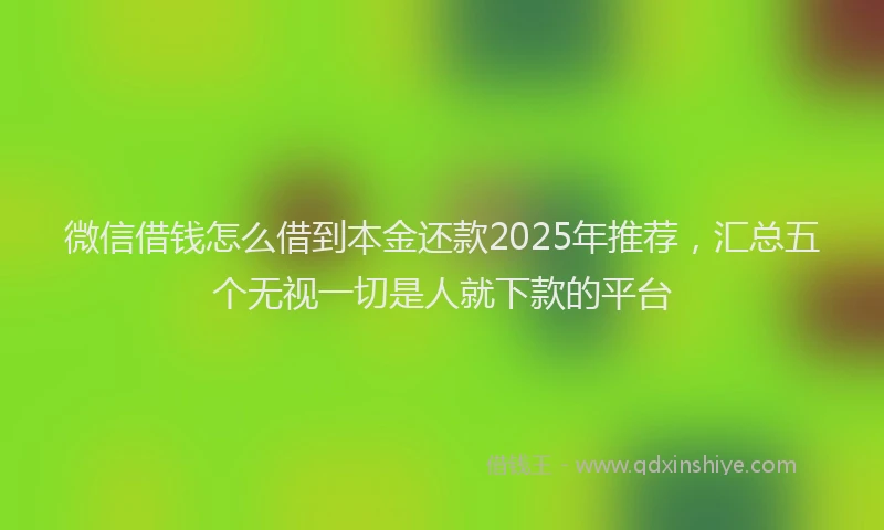 微信借钱怎么借到本金还款2025年推荐，汇总五个无视一切是人就下款的平台