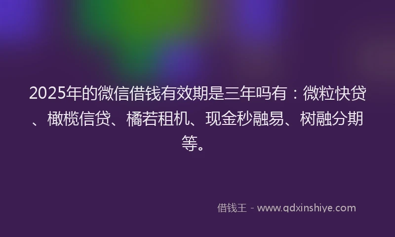 2025年的微信借钱有效期是三年吗有：微粒快贷、橄榄信贷、橘若租机、现金秒融易、树融分期等。
