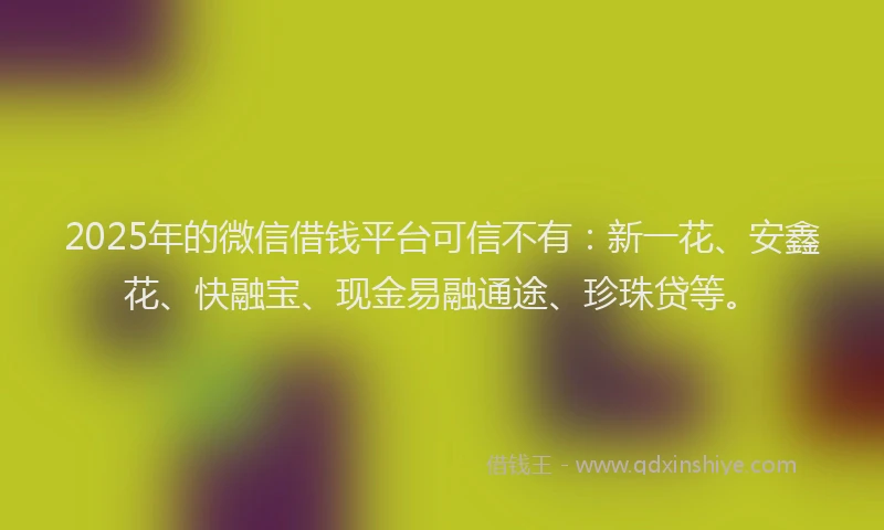 2025年的微信借钱平台可信不有：新一花、安鑫花、快融宝、现金易融通途、珍珠贷等。