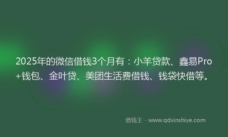 2025年的微信借钱3个月有：小羊贷款、鑫易Pro+钱包、金叶贷、美团生活费借钱、钱袋快借等。