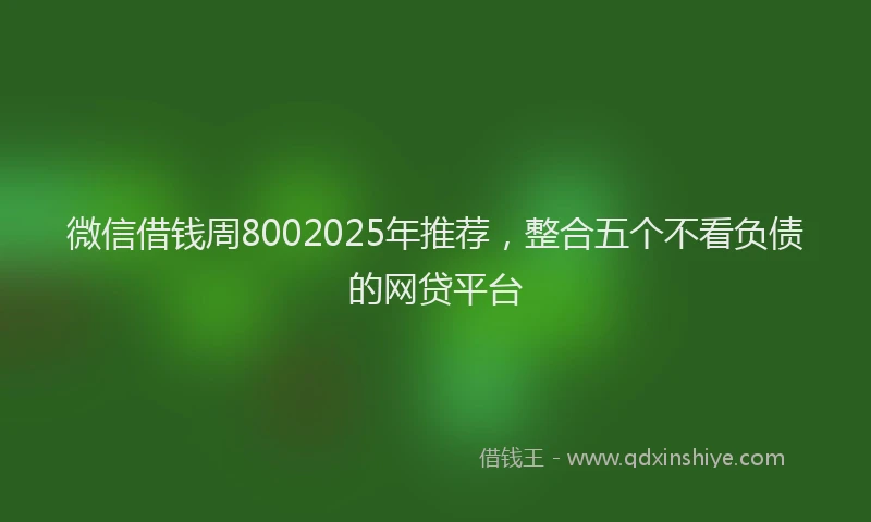 微信借钱周8002025年推荐，整合五个不看负债的网贷平台