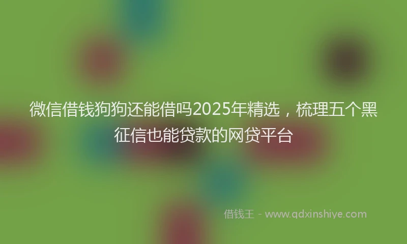 微信借钱狗狗还能借吗2025年精选，梳理五个黑征信也能贷款的网贷平台