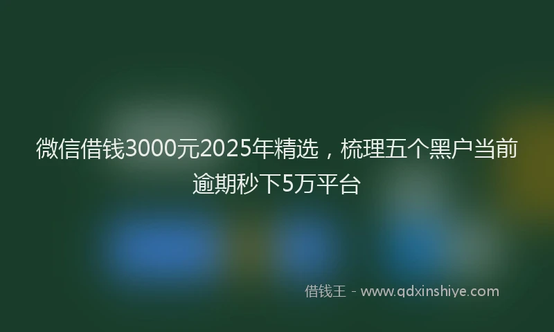 微信借钱3000元2025年精选，梳理五个黑户当前逾期秒下5万平台