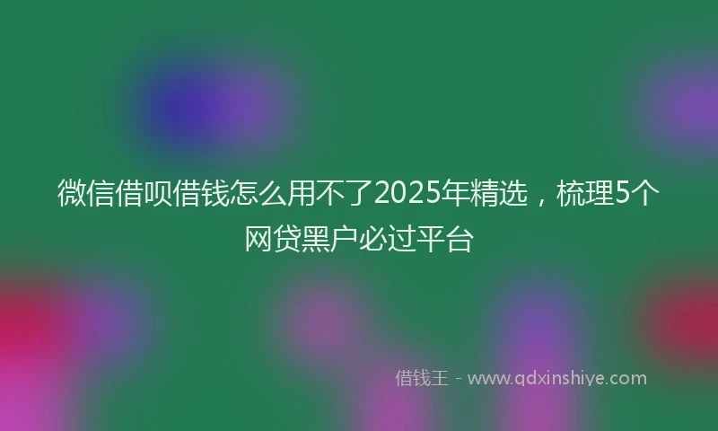 微信借呗借钱怎么用不了2025年精选，梳理5个网贷黑户必过平台