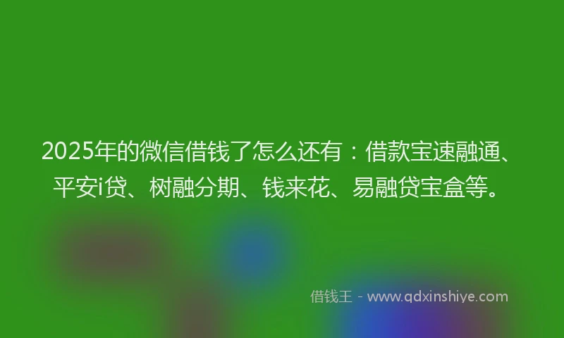 2025年的微信借钱了怎么还有：借款宝速融通、平安i贷、树融分期、钱来花、易融贷宝盒等。