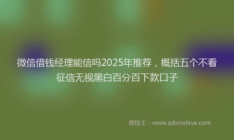 微信借钱经理能信吗2025年推荐，概括五个不看征信无视黑白百分百下款口子