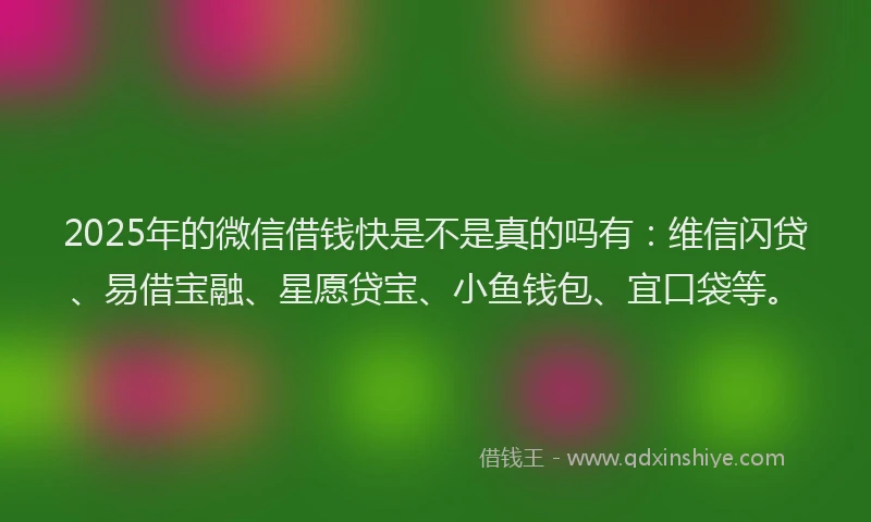 2025年的微信借钱快是不是真的吗有：维信闪贷、易借宝融、星愿贷宝、小鱼钱包、宜口袋等。